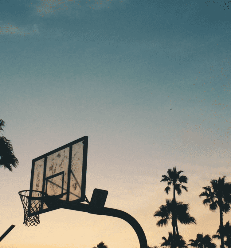 Basketball Hoop with palm tress and sky in the background