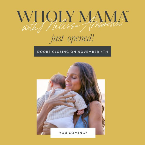 Wholy Mama Pregnancy Course